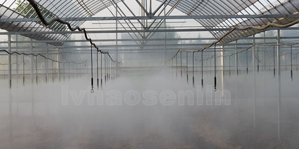 节水灌溉系统主要的植物水分检测技术有哪几种?